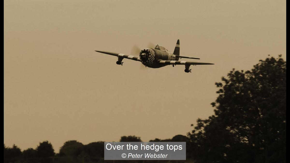 Over the hedge tops